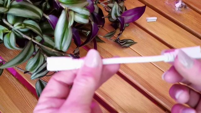Подсветка для растений смотреть онлайн