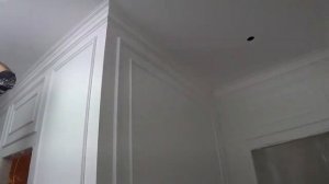 Покраска потолка безвоздушным способом. Дефектовка окраски потолка и карнизов. Технический надзор.