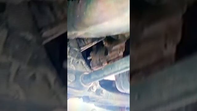 Barra de torsión 2 смотреть онлайн