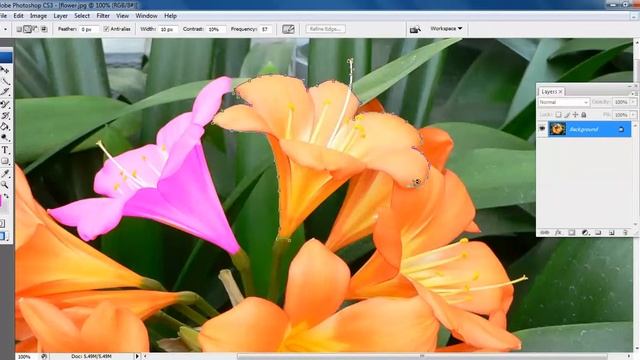 Color Replacement in Photoshop Part-1 Tamil смотреть онлайн