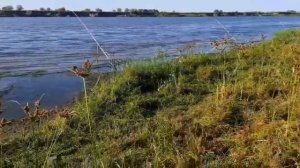 РЫБАЛКА НА АХТУБЕ 2023!!! ХУТОР САЗАНИЙ УГОЛ. Часть 1.