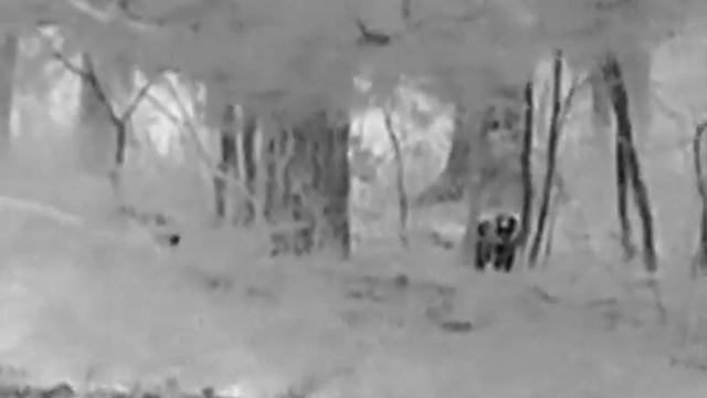 IGO Jenoty Hikvision h 15 termowizja смотреть онлайн