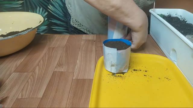 Пикируем Помидоры ПИНОКИО (ДОМАШНИЕ ТОМАТЫ) смотреть онлайн