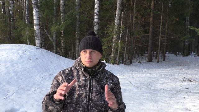 Тетерев на току. Охота на тетерева на току 2021. Поиск тока. смотреть онлайн