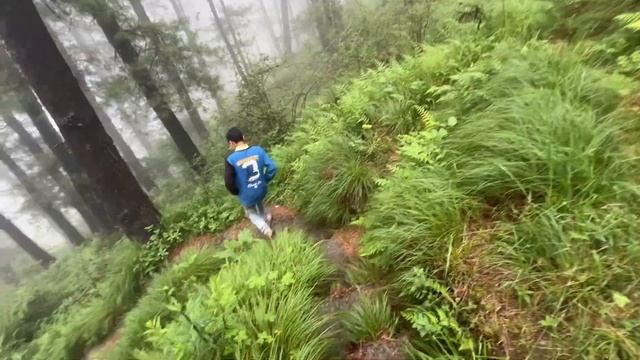 We Did Trekking on the mountains of narkanda with Himachali boy ? !! смотреть онлайн