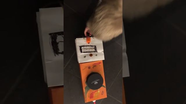 Поделки из бросового материала: робот-пылесос смотреть онлайн