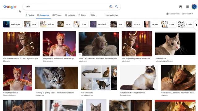 CS50’s Web Programming with Python and JavaScript: Project 0 - Search смотреть онлайн
