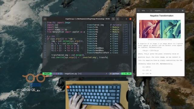 Basic Image Processing with Python | Negative Transformation | ASMR Programming смотреть онлайн