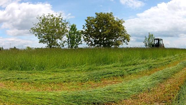 Нарещі сінокос Т-сорчиком ДІНОЗАВРОМ 01.06.2021 Західна Україна смотреть онлайн