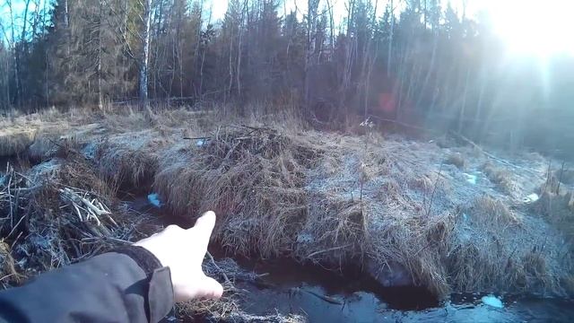 Бобровый ручей, весна. смотреть онлайн