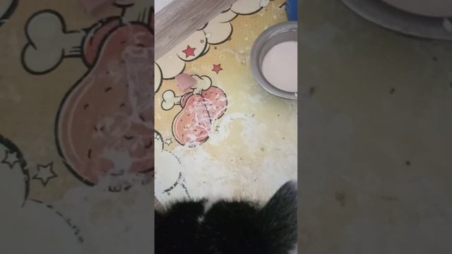 Мусю на мякине не проведешь. ?? смотреть онлайн