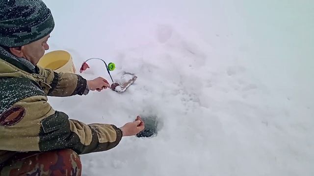 Рыбалка на реке Битюг в Воронежской области, затон, бонусная щука. Февраль. смотреть онлайн