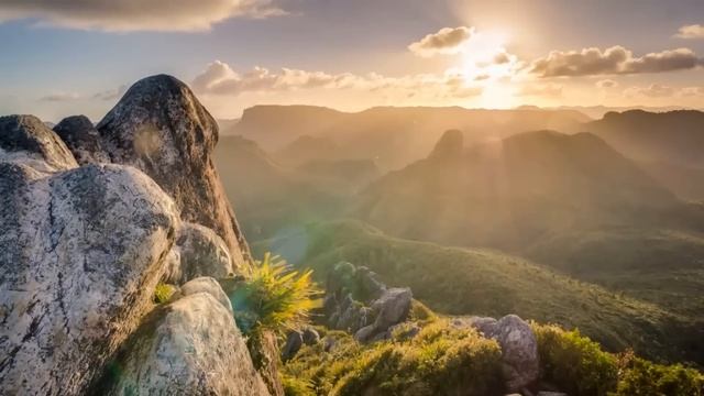 Миллионеры, избегая позора, спрятали его, а через 7 лет произошло странное смотреть онлайн