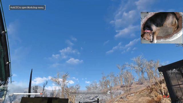 Fallout 4 S3, Ep 15 Sim Settlements 2 Survival Lets Play смотреть онлайн
