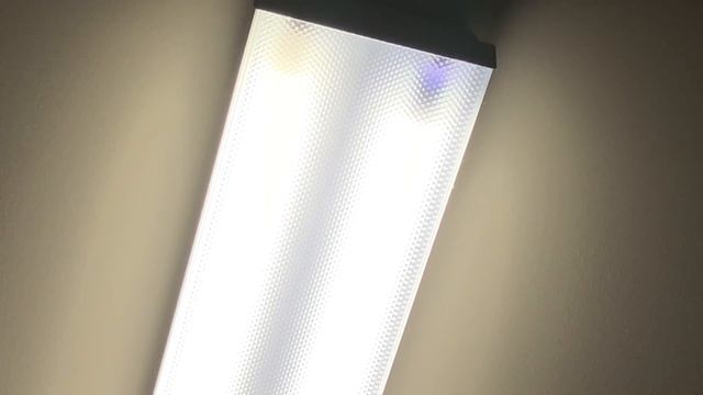Fluorescent light bulb burnout смотреть онлайн