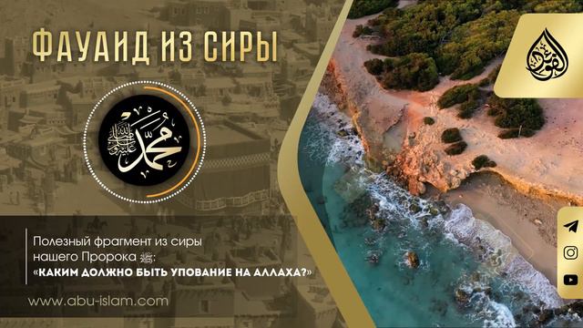 Каким должно быть упование на Аллаха? — Абу Ислам аш-Шаркаси