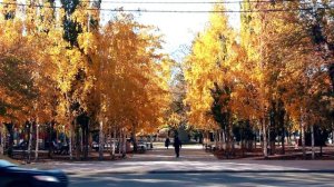 Песня о Павлодаре