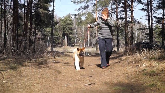 Дэн 4 мес. смотреть онлайн