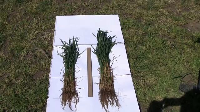 Видео отчет СИЗАМ НАНО