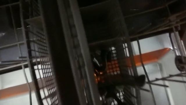 Meto Reloj Casio en el Lavavajillas...?? Y..??? смотреть онлайн