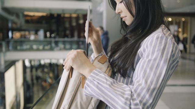 Nordace SIENA Smart Backpack смотреть онлайн