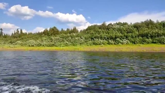 Жуковы//у Саши и Алены нет детей... //Обзор видео// смотреть онлайн