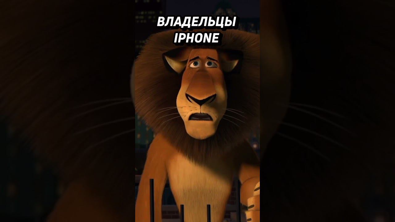 Владельцы xiaomi #shorts #xiaomi смотреть онлайн