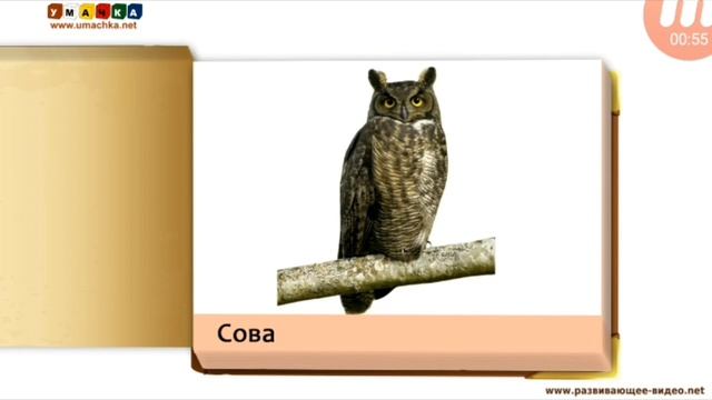 Умачка - Мои Первые Животные и Птицы Карточки для детей смотреть онлайн