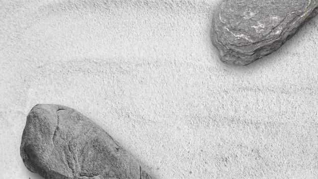 CAT GAMES - ? CATCHING A LIZARD 1 HOUR VERSION (ENTERTAINMENT VIDEOS FOR CATS TO WATCH)