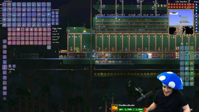 Terraria Expert Hardcore Insane Spawnrate Challenge #38 смотреть онлайн