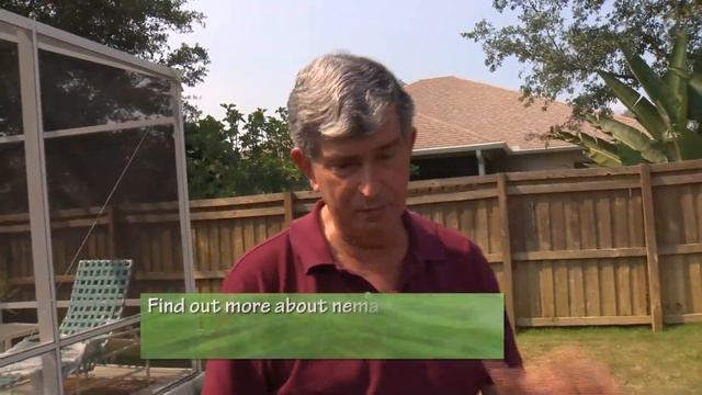Central Florida Gardening-Nematodes in the Turf смотреть онлайн