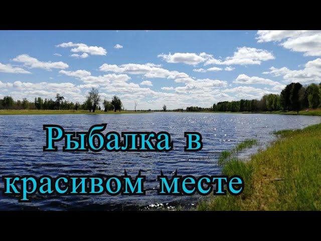 Хорошая рыбалка на нашем месте. Ловим зубастых щук и полосатых окуней на спиннинг. #NIK_72 смотреть онлайн