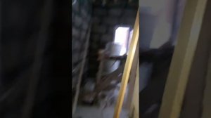 Вагонка штиль в бане. Крепёж к пеноблоку