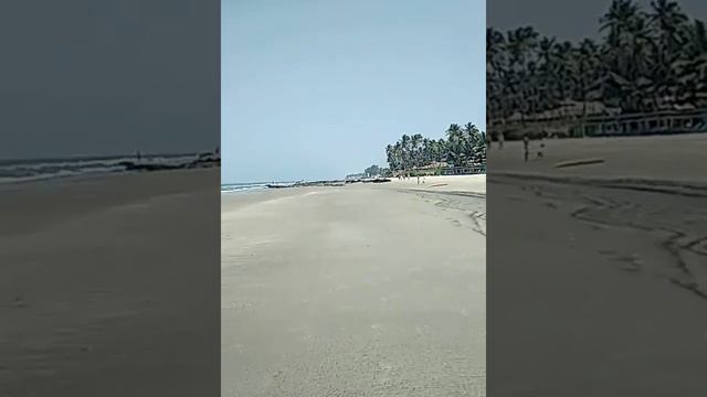 #goa #гоа #индия #india 18.03.2019(1) смотреть онлайн