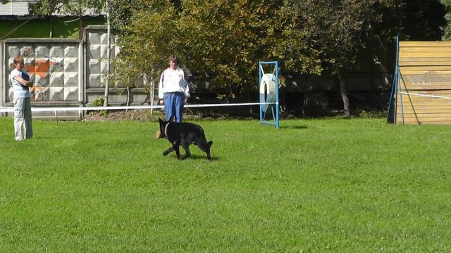 Чемпионат НКП ВЕО 2015 по ОКД и ЗКС.