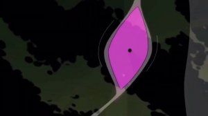 Все Превращение Бен 10 Классика