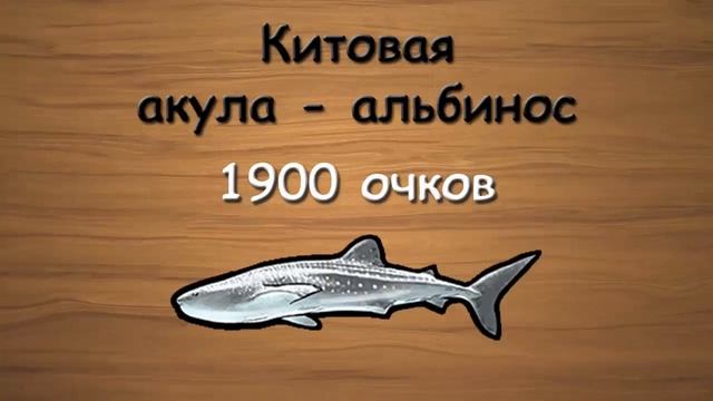 Русская Рыбалка 3.99 (Russian Fishing) Новые редкости Нил и Красное море смотреть онлайн