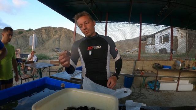 Крым. Мидийно-устричная ферма Биссус на Меганоме,17 августа 2021 смотреть онлайн