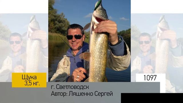 Фотоальбом - Рыбалка №219 смотреть онлайн