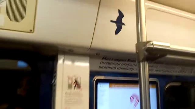 Поезд 125 лет московский государственный университет России на серпуховско-тимирязевской линии. смотреть онлайн