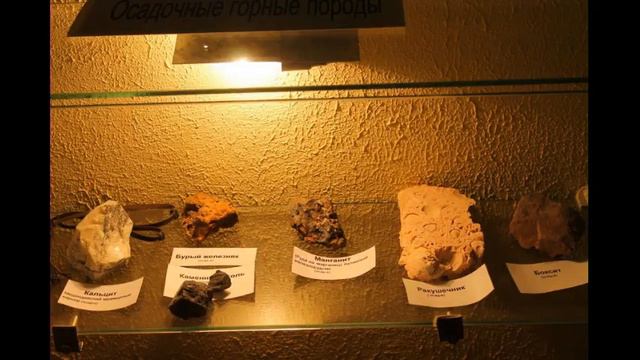 "Музей природы" школа №36 смотреть онлайн