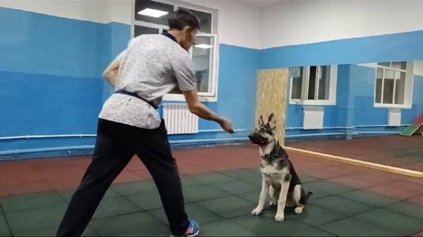 Фиелисс Раджанг