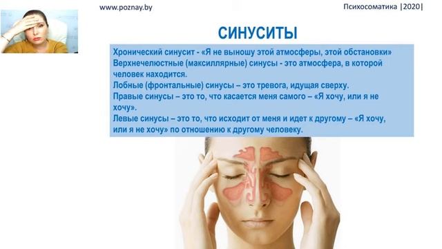 Четвертая встреча 1 часть Дыхательная система.webm смотреть онлайн