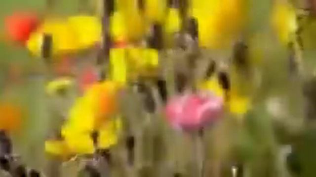 Золотые годы в СССР. смотреть онлайн