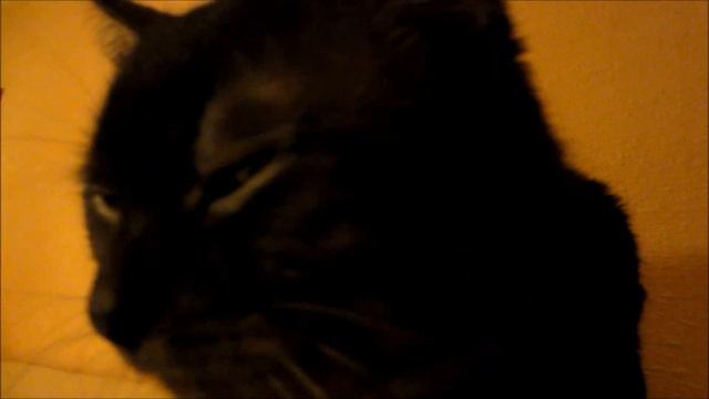 25 кадр смотреть онлайн