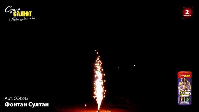 СС4843 смотреть онлайн