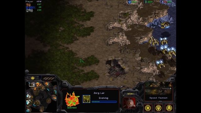 StarCraft Brood War 2017 - Bisu (P) v Zero (Z) on Python смотреть онлайн
