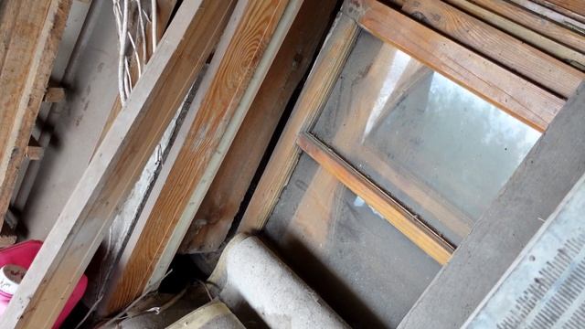 Бездомная черно-белая кошка, Живет в Сарае ожидающая еды. смотреть онлайн