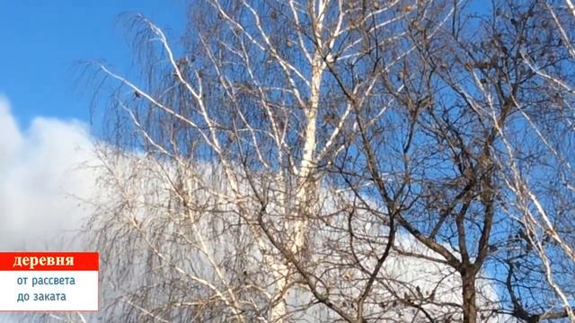 Перелетные птицы смотреть онлайн