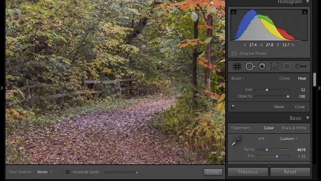 Lightroom 5: New Healing and Cloning Tools! смотреть онлайн